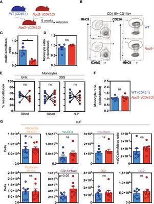 NOD2 in monocytes negatively regulates macrophage development through TNFalpha
